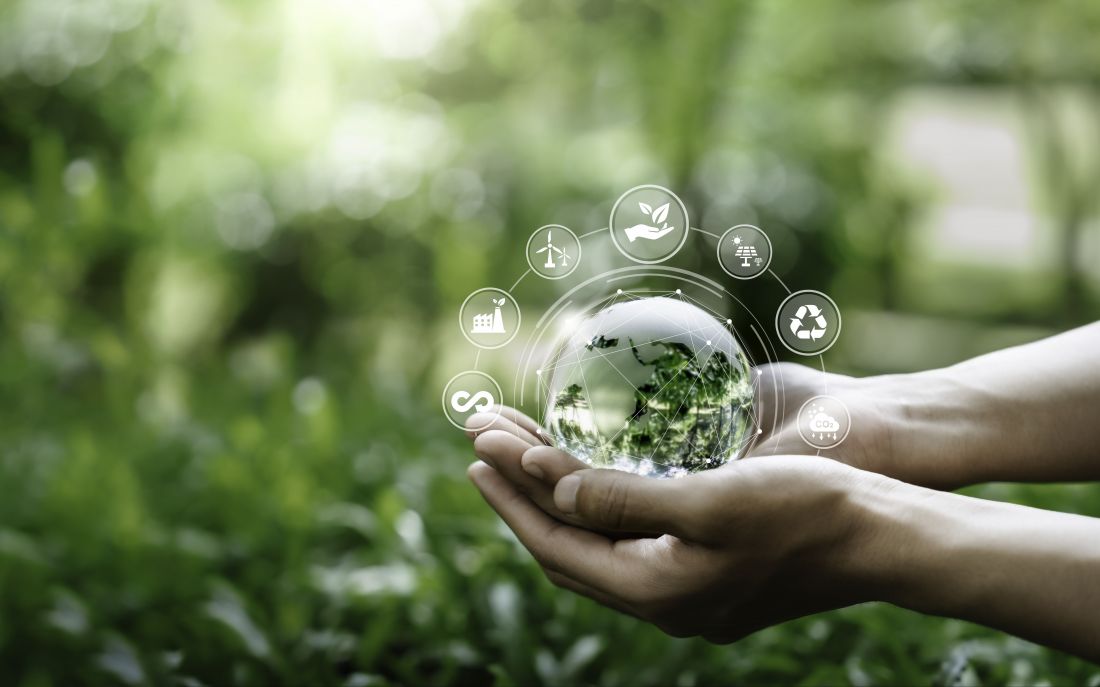 Bioeconomy: a pathway to innovation and sustainable careers